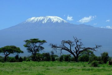 Mt Kilimanjaro Climbing