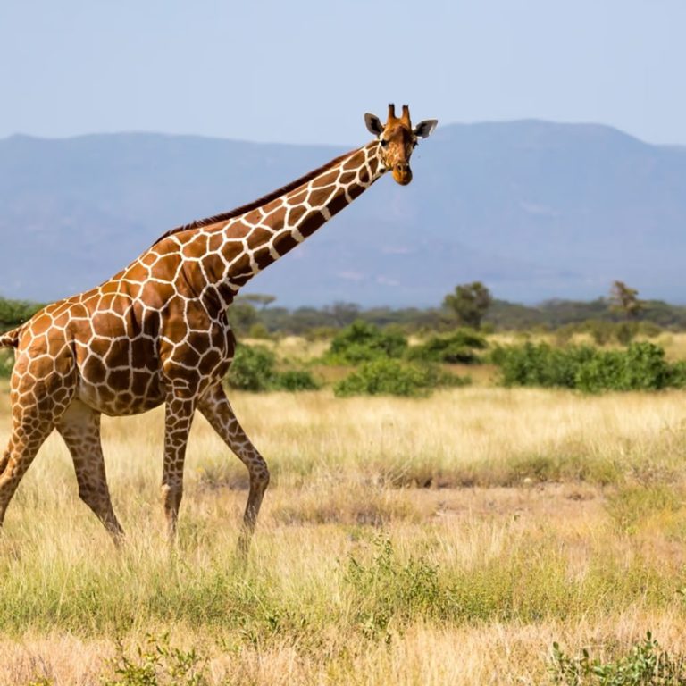 Arusha National Park