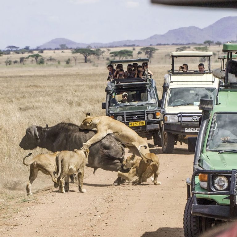 Serengeti National Park