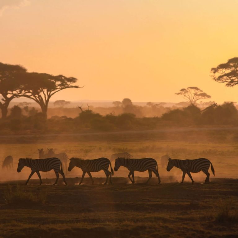 Lake Manyara National Park